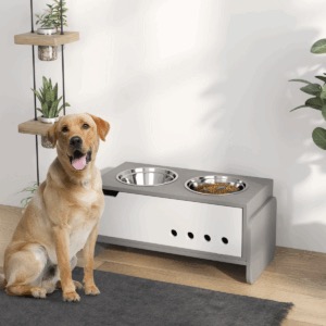 Dog feeding raised bowl