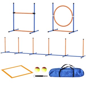 Dog agility set 