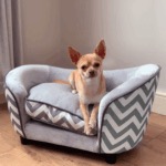 small dog sleeping on luxury calming dog bed